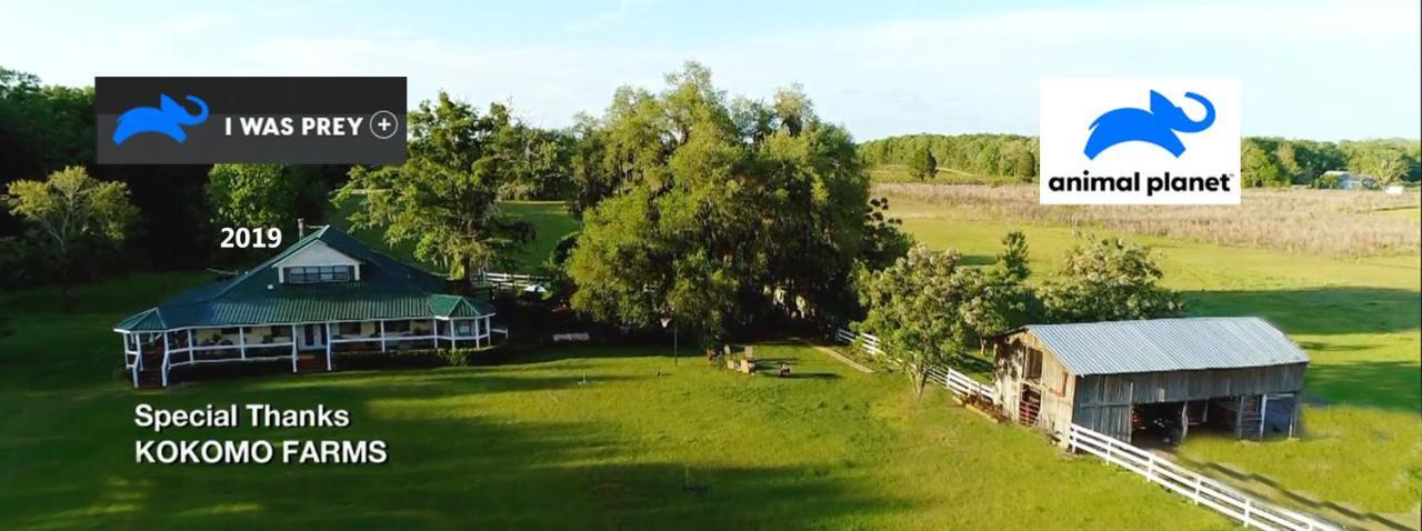 Kokomo Farms Лайв-Ок Екстер'єр фото